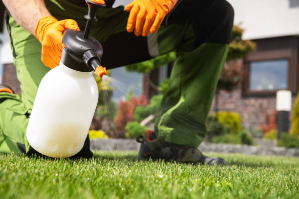 Best Emergency Pest Control  in Harbour Heights, FL